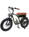 20 Inch 750W Fat Tire Retro E-Bikes Ebike E Bike Electric Bicycle ES01