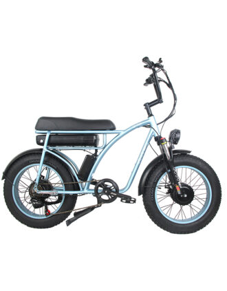 GF650 Electric bike Fat Tire 17