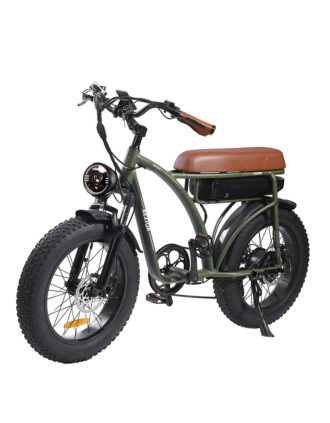 GOGOBEST XF001 Electric Bike Fat Tire 1