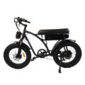 XF001 Electric bike Fat Tire 6