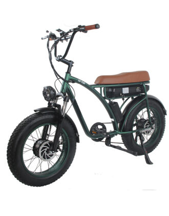 GF650 Electric bike Fat Tire