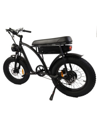 XF001 Electric bike Fat Tire 19