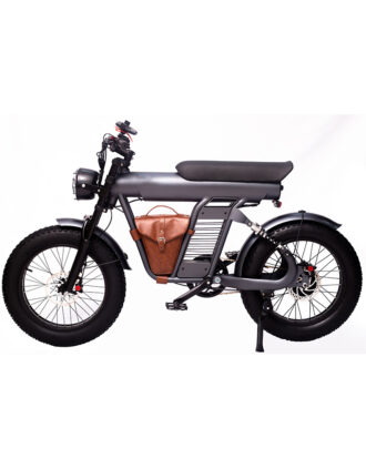 EZ ZM21 Fat Tire Ebikes