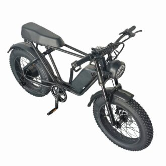 iEZway C91 Elecctric Bike 1