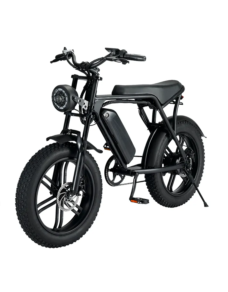 iEZway V8 Elecctric Bike fat tire 4