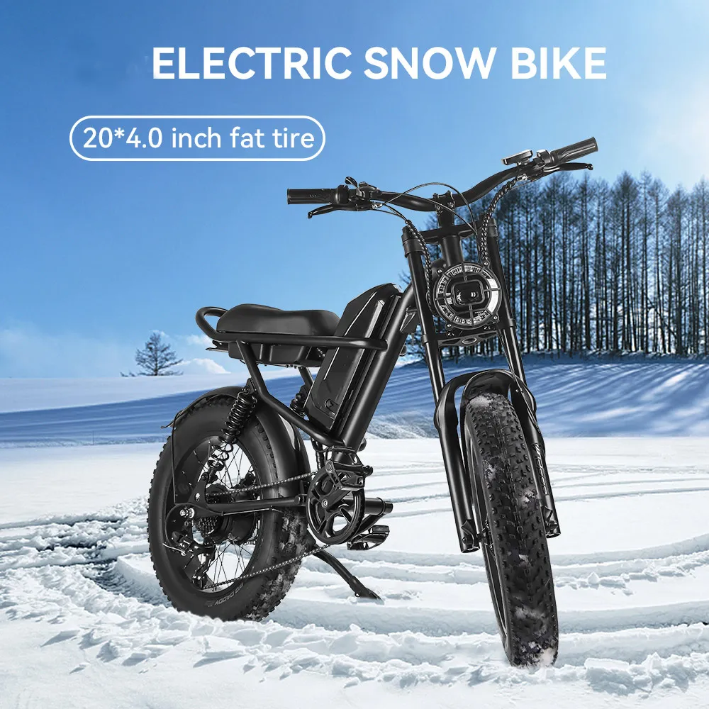 iEZway J1 Elecctric Bike (16)