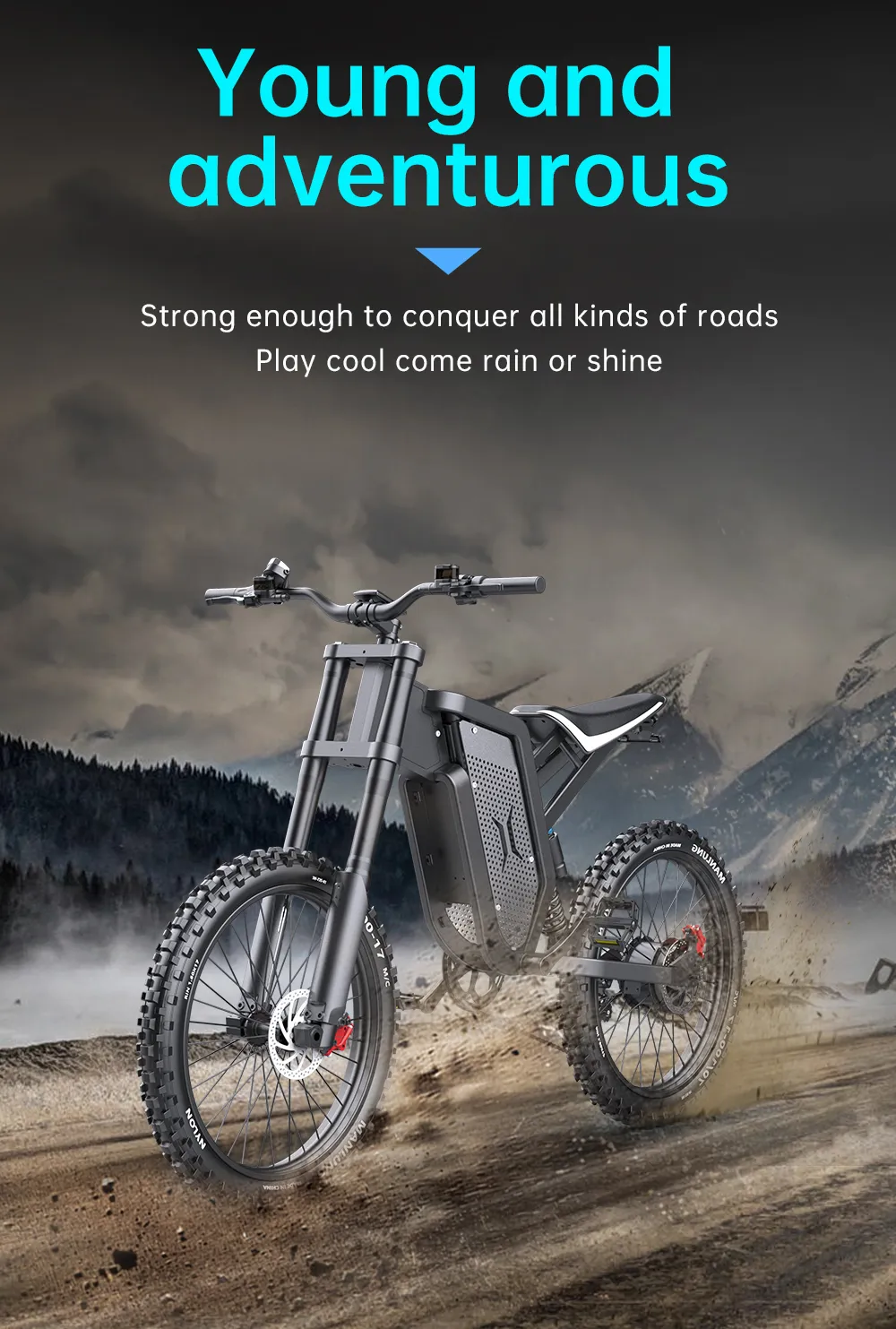 iEZway X21 Electric Bike fat tire (3)